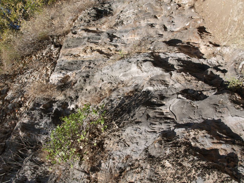 gal/Grece/PA021568.JPG