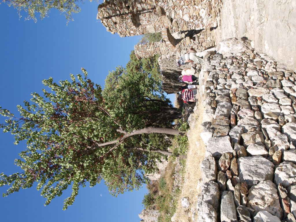 gal/Grece/PA021610.JPG