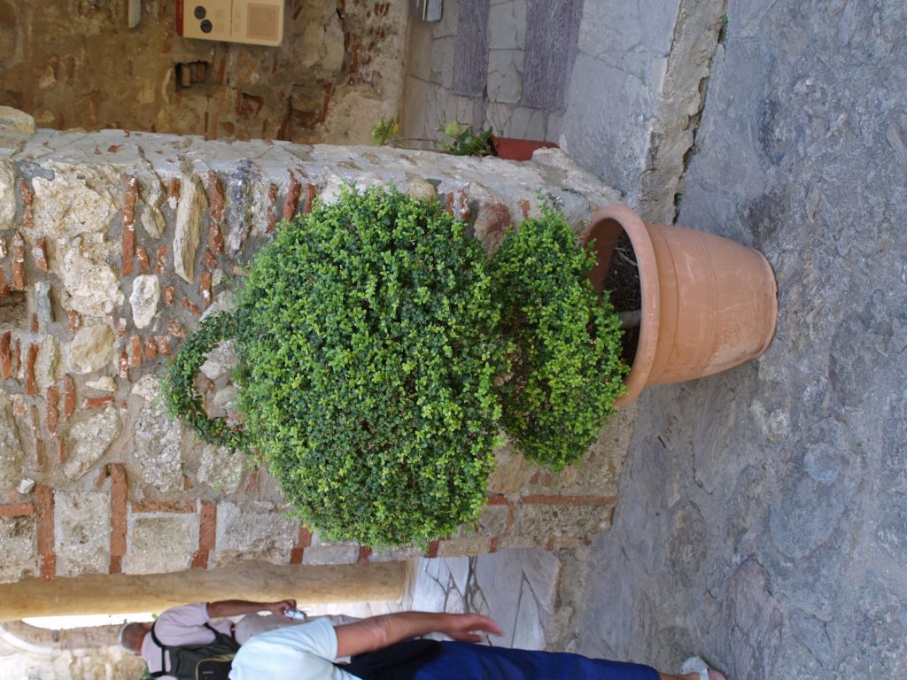 gal/Grece/PA021619.JPG