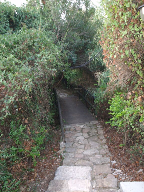 gal/Grece/PA031689.JPG