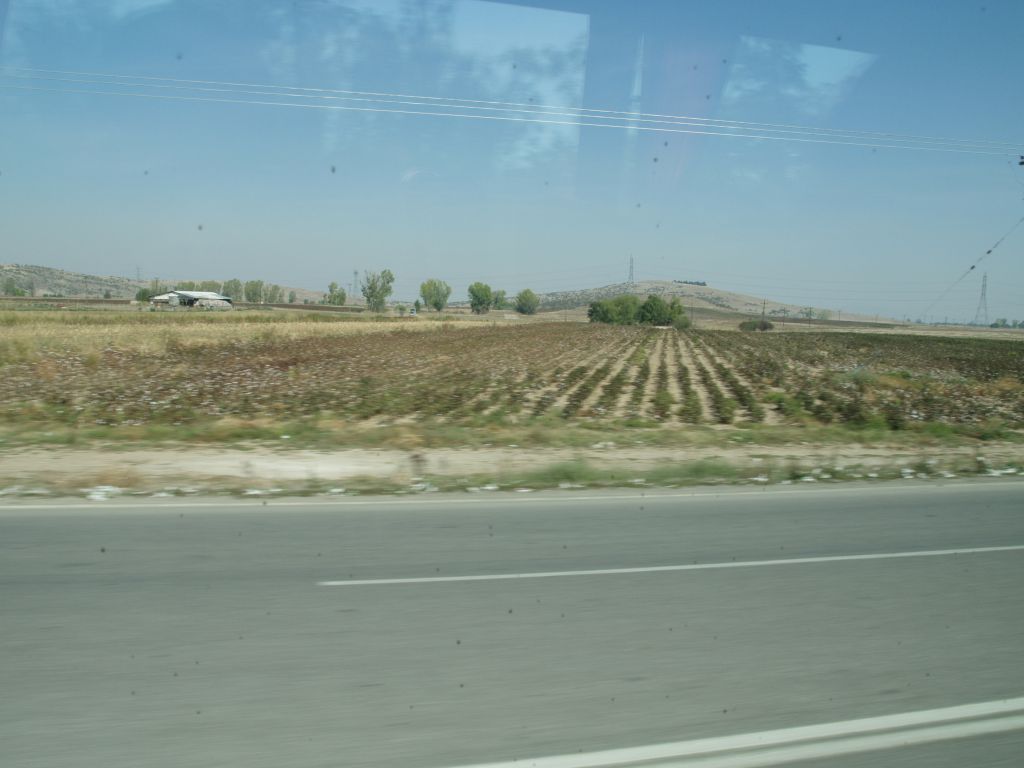 gal/Grece/PA052383.JPG