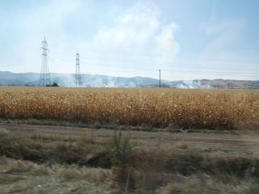 gal/Grece/PA052388.JPG