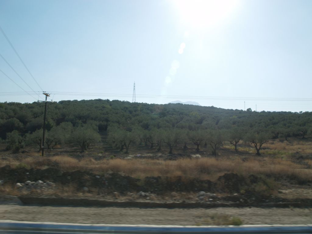 gal/Grece/PA052396.JPG