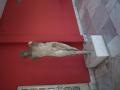 gal/Grece/_thb_P9291054.JPG