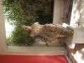 gal/Grece/_thb_P9291057.JPG