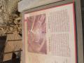 gal/Grece/_thb_PA011412.JPG