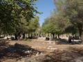 gal/Grece/_thb_PA031754.JPG