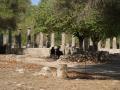 gal/Grece/_thb_PA031755.JPG