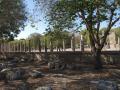 gal/Grece/_thb_PA031756.JPG