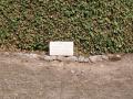 gal/Grece/_thb_PA042092.JPG