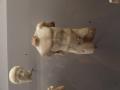 gal/Grece/_thb_PA042198.JPG