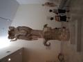 gal/Grece/_thb_PA042202.JPG