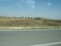 gal/Grece/_thb_PA052383.JPG