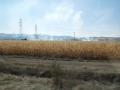 gal/Grece/_thb_PA052388.JPG