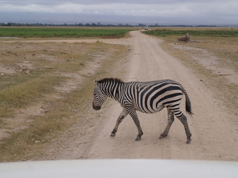 gal/Kenya/P7180096_Amboseli_Safari.JPG