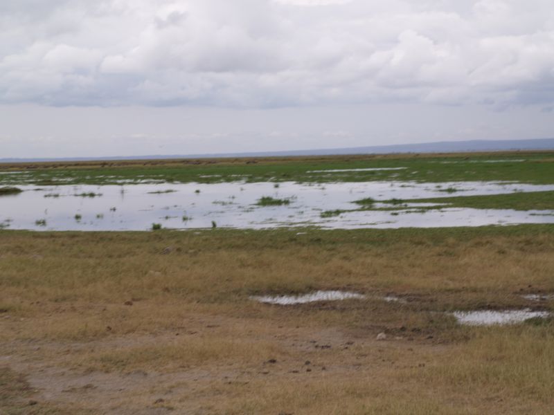 gal/Kenya/P7180099_Amboseli_Safari.JPG