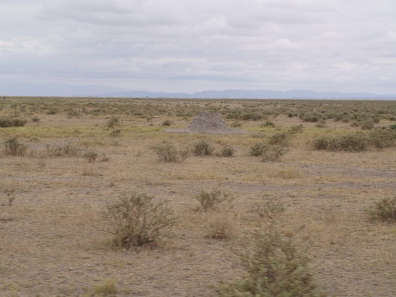 gal/Kenya/P7180136_Amboseli_Safari.JPG