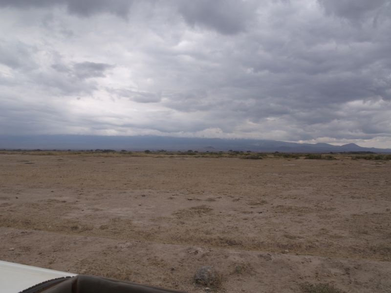 gal/Kenya/P7180202_Amboseli_Safari.JPG
