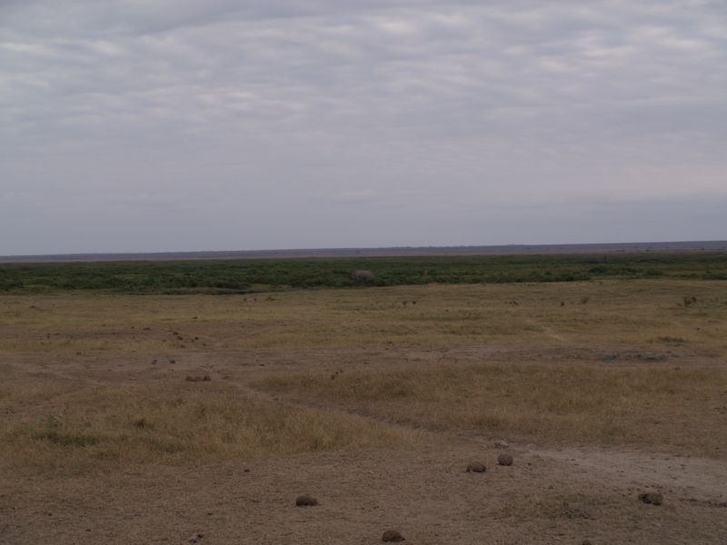 gal/Kenya/P7180276_Amboseli_Safari.JPG