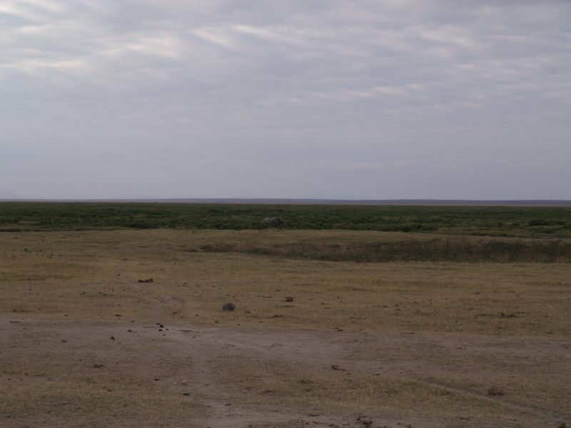 gal/Kenya/P7180278_Amboseli_Safari.JPG