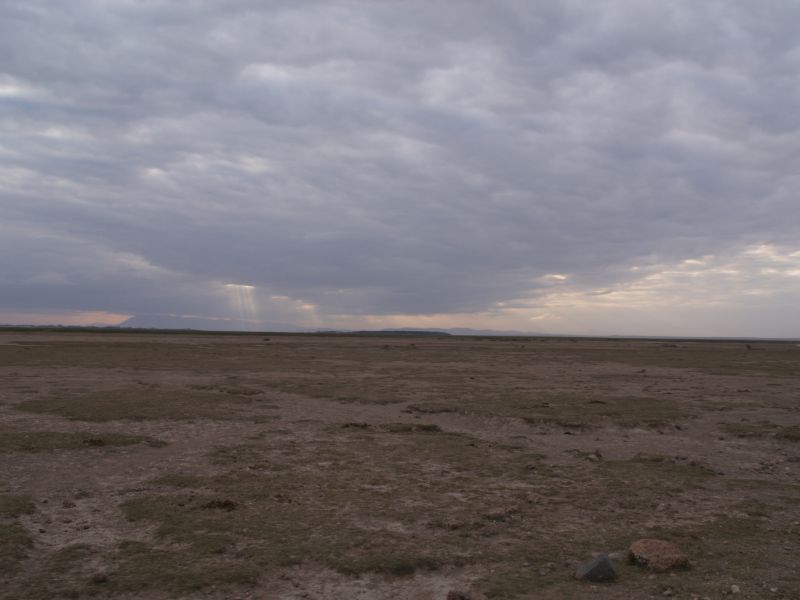 gal/Kenya/P7180279_Amboseli_Safari.JPG