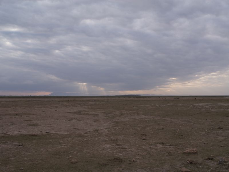 gal/Kenya/P7180280_Amboseli_Safari.JPG