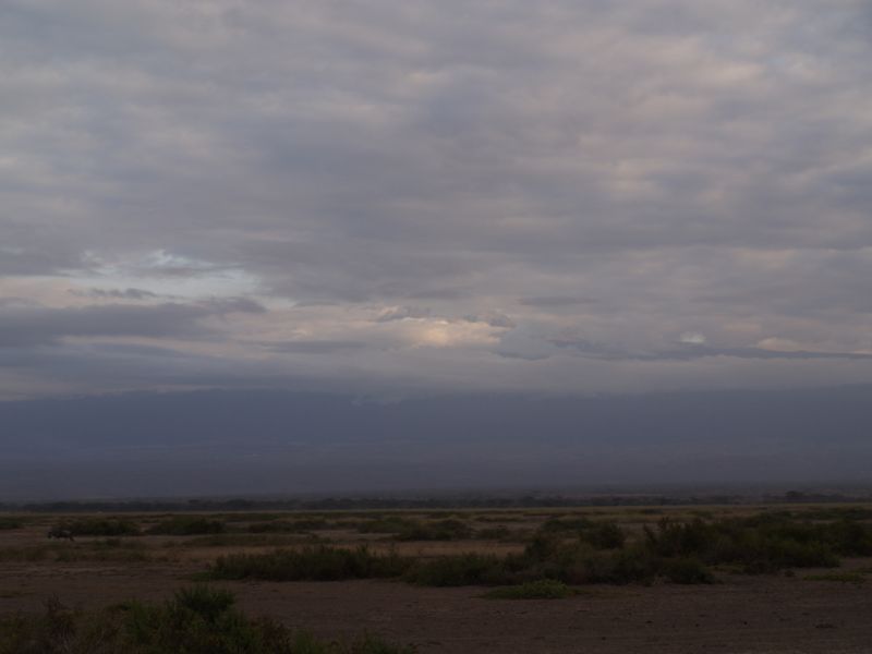gal/Kenya/P7180294_Amboseli_Safari.JPG