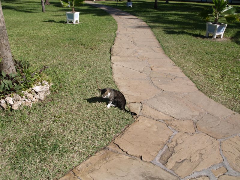 gal/Kenya/P7200326_Shanzu_Hotel.JPG