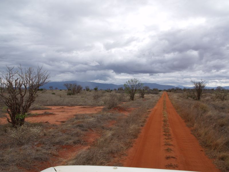 gal/Kenya/P7210393_Tsavo_Safari.JPG