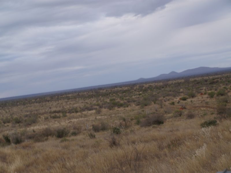 gal/Kenya/P7210436_Tsavo_Safari.JPG