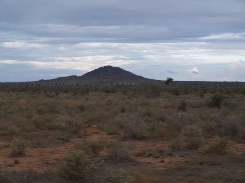 gal/Kenya/P7210442_Tsavo_Safari.JPG