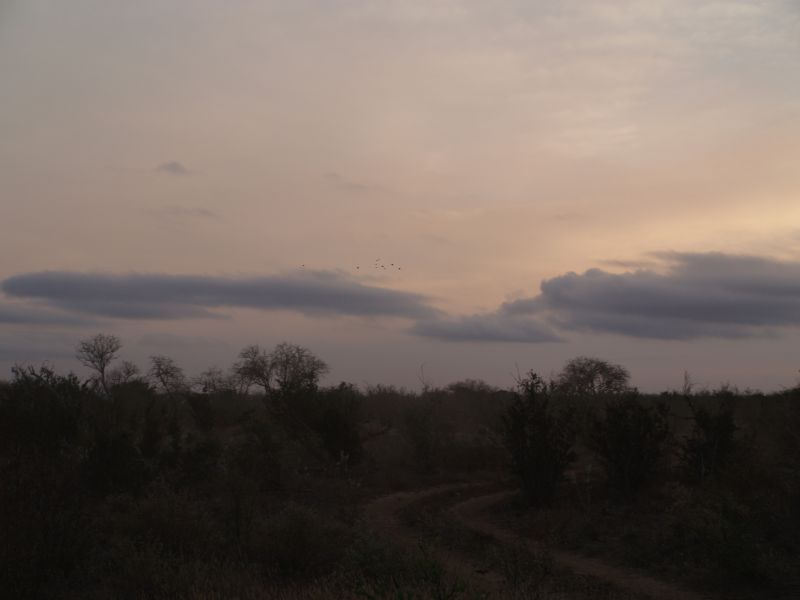 gal/Kenya/P7220480_Tsavo_Safari.JPG
