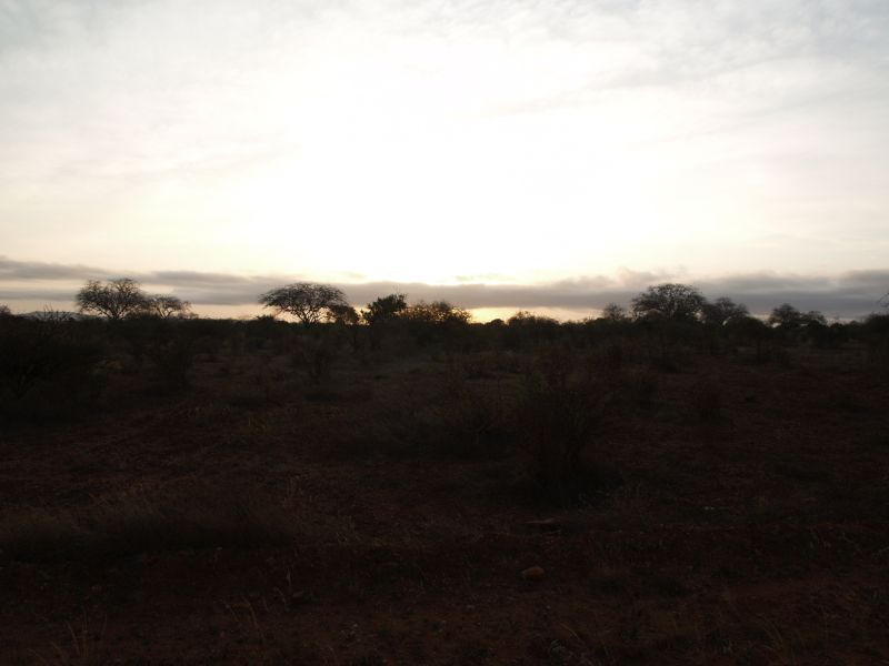 gal/Kenya/P7220489_Tsavo_Safari.JPG