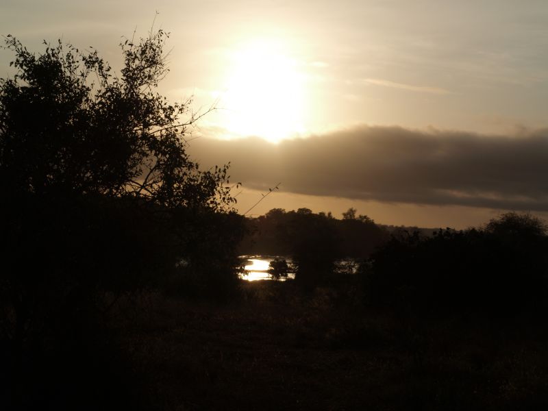 gal/Kenya/P7220499_Tsavo_Safari.JPG