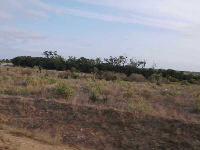 gal/Kenya/P7220520_Tsavo_Safari.JPG