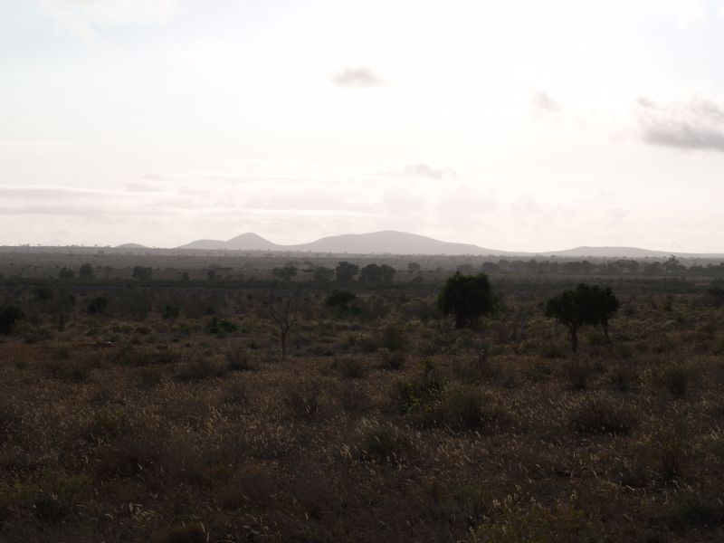 gal/Kenya/P7220525_Tsavo_Safari.JPG