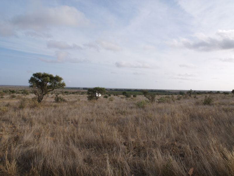 gal/Kenya/P7220526_Tsavo_Safari.JPG