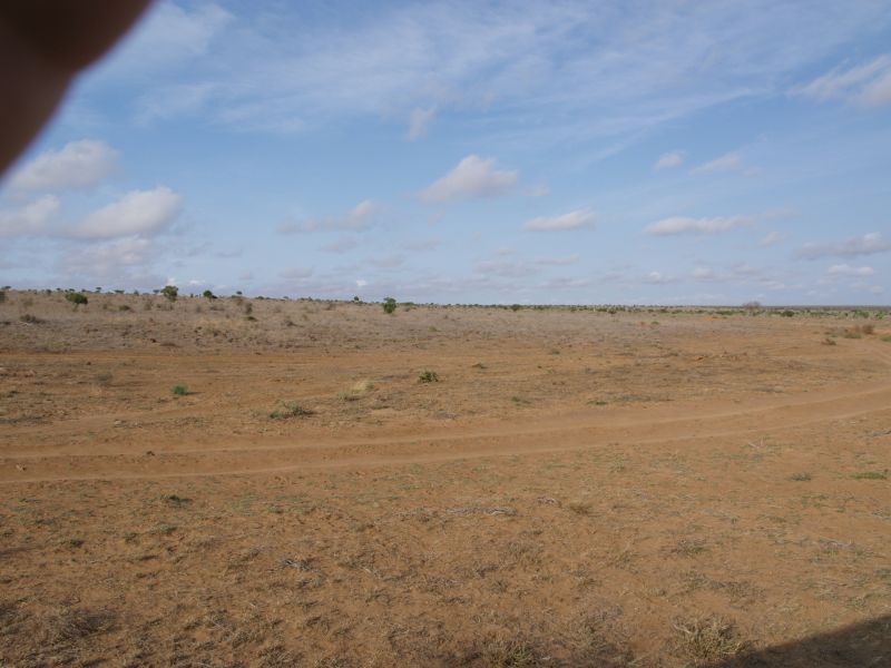 gal/Kenya/P7220529_Tsavo_Safari.JPG