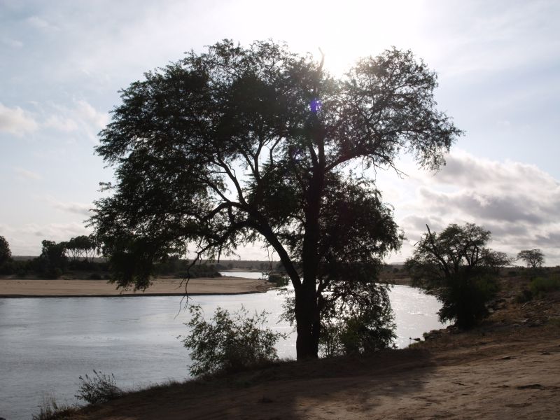 gal/Kenya/P7220532_Tsavo_Safari.JPG