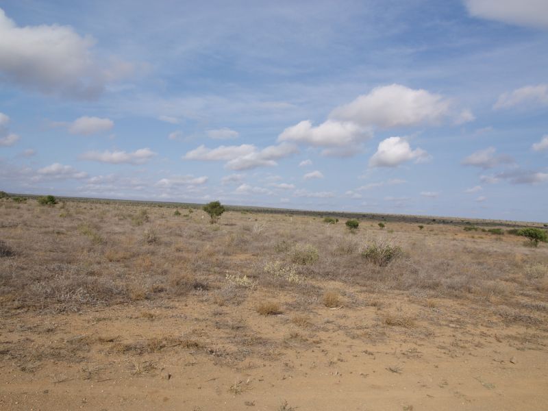 gal/Kenya/P7220548_Tsavo_Safari.JPG