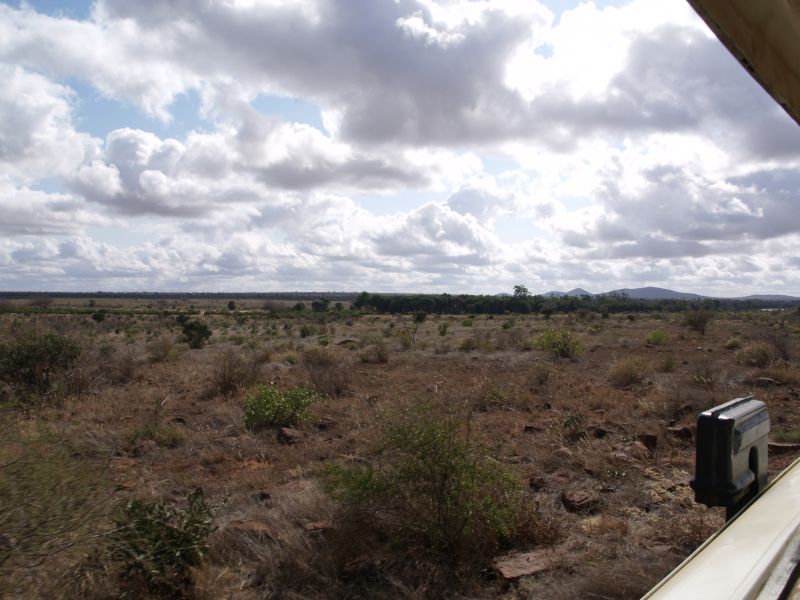 gal/Kenya/P7220571_Tsavo_Safari.JPG