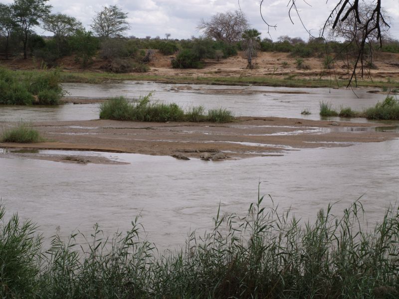 gal/Kenya/P7220593_Tsavo_Safari.JPG