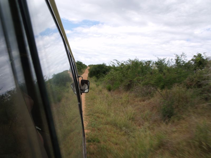 gal/Kenya/P7220604_Tsavo_Safari.JPG