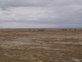 gal/Kenya/_thb_P7180083_Amboseli_Safari.JPG