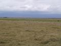 gal/Kenya/_thb_P7180118_Amboseli_Safari.JPG