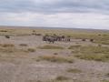 gal/Kenya/_thb_P7180144_Amboseli_Safari.JPG