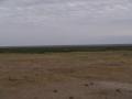 gal/Kenya/_thb_P7180276_Amboseli_Safari.JPG