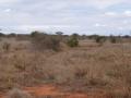 gal/Kenya/_thb_P7210390_Tsavo_Safari.JPG