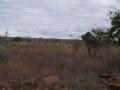 gal/Kenya/_thb_P7210439_Tsavo_Safari.JPG