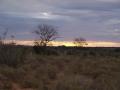 gal/Kenya/_thb_P7210451_Tsavo_Safari.JPG